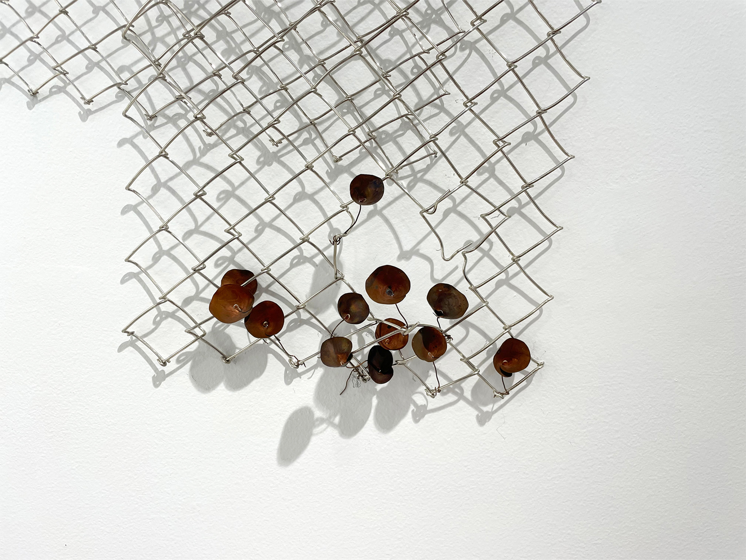 breaking through fences and weeds,detail from Plano Installation exhibits by Natalie Macellaio